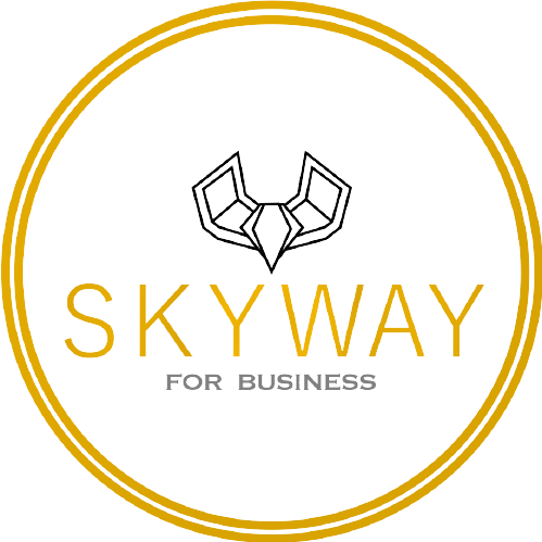 SkyWay For Business